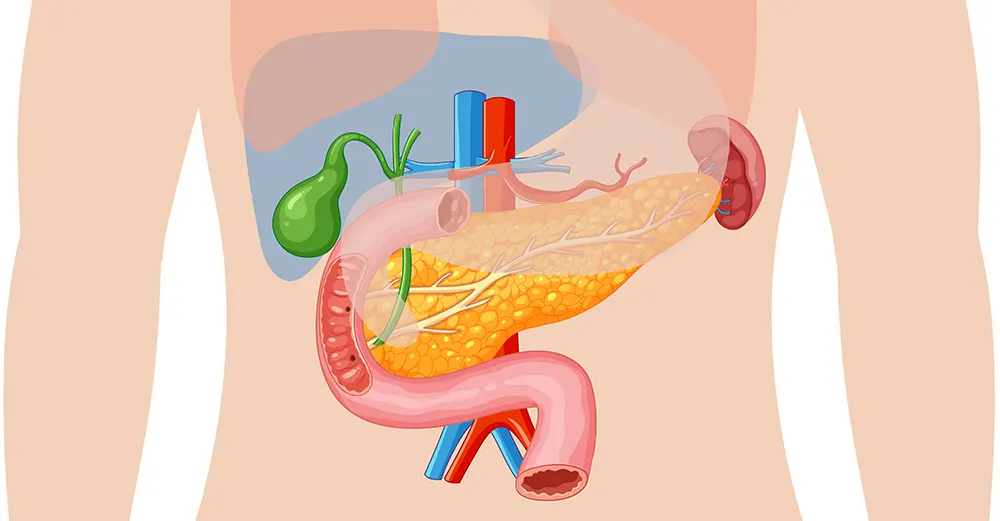 IBS and digestive issues